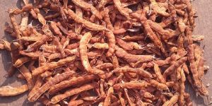 Dried Tamarind Pods