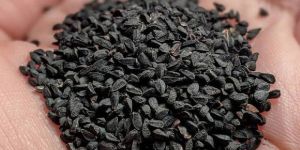 Nigella Sativa Seeds