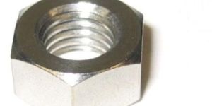 Stainless Steel Nuts