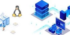 Linux VPS Services