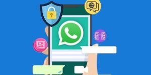 Whatsapp Business API Solution