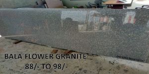 Bala Flower Granite 7792837522, 9950568671