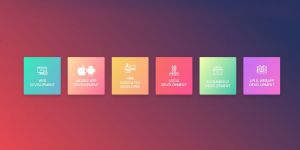 Web Design and Development