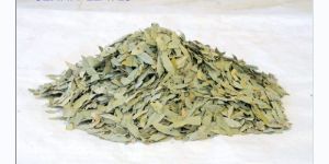 Dry Senna Leaves