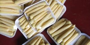 Fresh Baby Corns