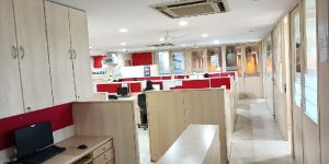 Income Tax Consultant