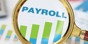 Payroll Outsourcing Services
