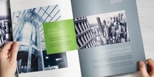 Brochure Designing Service