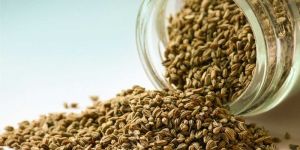 Carom Seeds OR Ajwain