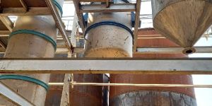 Edible Oil Plant