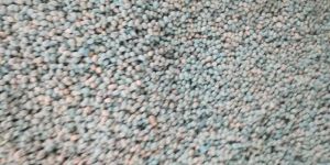 Black Bold Soyabean Seeds