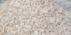 Age Biotech Protein Powder