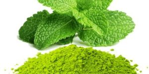 Mint Leaves Powder