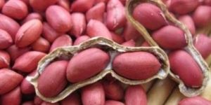Whole Groundnut, Groundnut Kernels