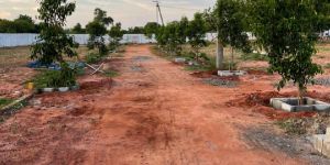 Residential Plots Services