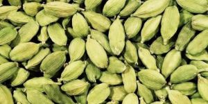 Green Cardamom (Elaichi)