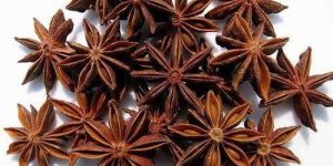 Star Aniseeds