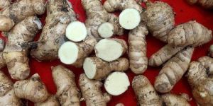 Kasturi Turmeric Powder