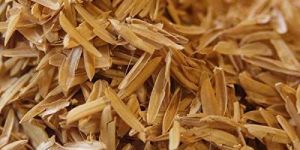 Rice Husk