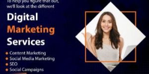 Search Engine Optimization Services