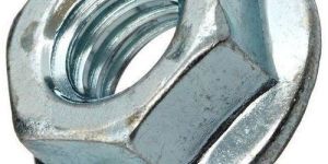 Flange Nut