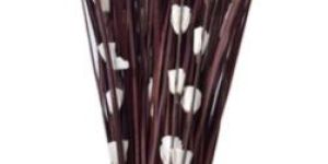 Dried Flower Stick Bouquet