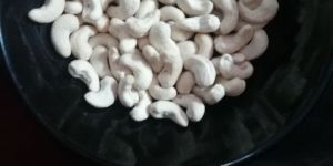 Cashew Nut w320