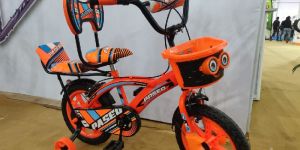 RW-53 Kids Bicycle