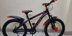 RW-60 Kids Bicycle