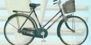 RW-66 Phillips Type Ladies Bicycle