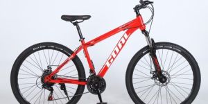 RW-68 Multi Speed Bicycle