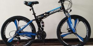 RW-71 Multi Speed Bicycle