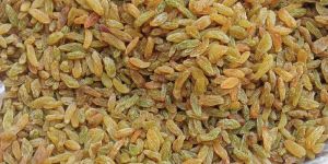 Varsha Yellow Gold Raisins