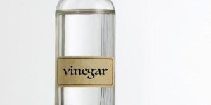 Distilled White Vinegar