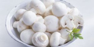 Fresh Button Mushroom