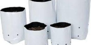 LDPE Grow Plant Bag