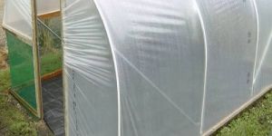 LDPE Transparent Packaging Sheet