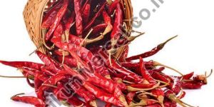 Dried Red Chilli