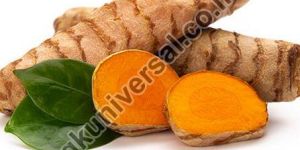 Raw Turmeric