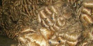 Jute Raw Materials