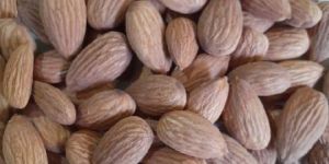 Kashmiri Kesari/ Malai Badam