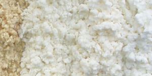 Bleached Softwood Pulp