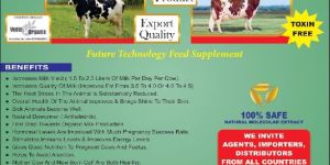 COW FEED SUPPLEMENT. CAMEL FEED SUPPLEMENT.