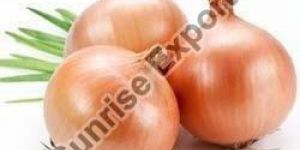 Fresh Brown Onion