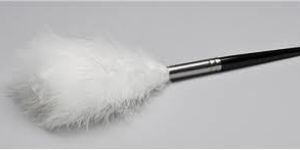Feather Fingerprint Brush