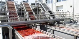 Tomato Processing Plant