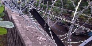 Galvanized Iron Concertina Coils