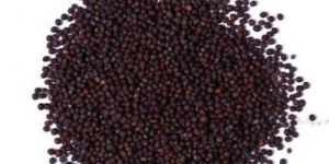 Mustard Seeds