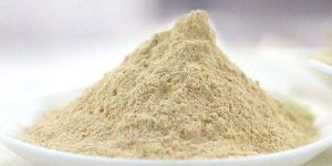 White Onion Powder