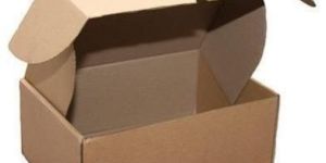 Die Cut Folding Box
